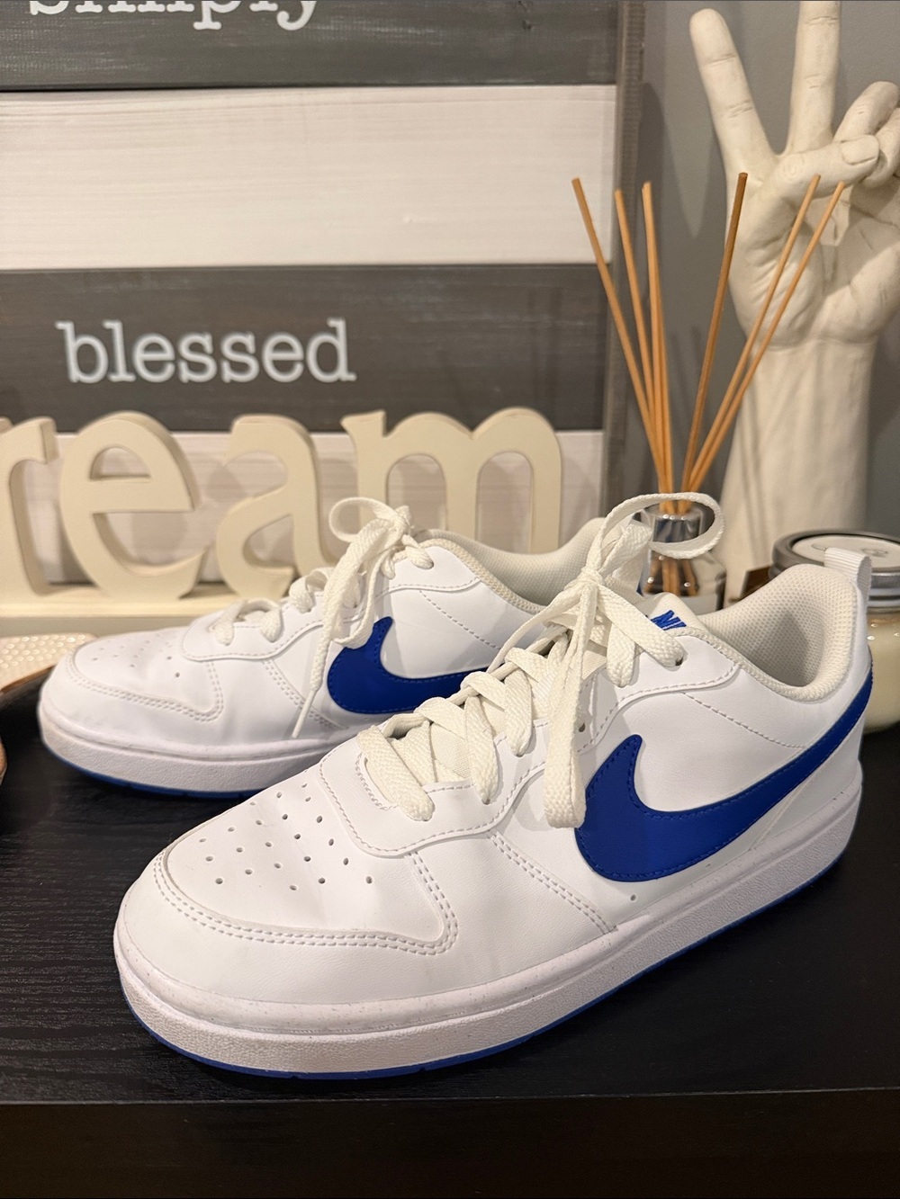 Nike Court Borough Low White and Blue Kids